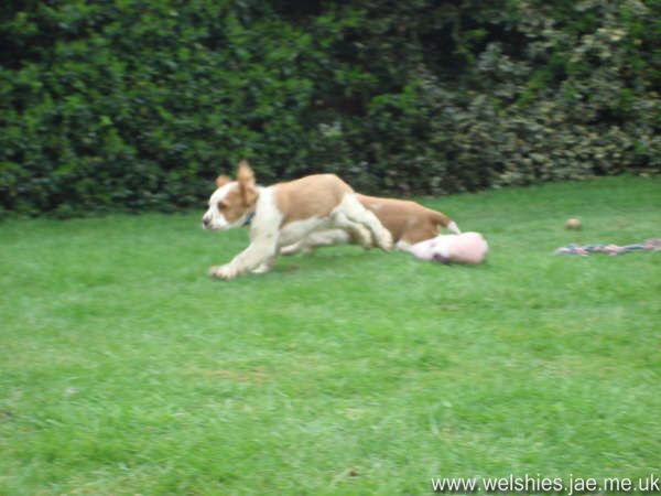 2009-04-17 37L.JPG
